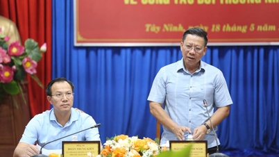 តៃនិញ៖ គណៈកម្មាធិការបក្ស និងអាជ្ញាធរមូលដ្ឋានបន្តពង្រឹងភាពជាអ្នកដឹកនាំ និងការណែនាំលើការងារផ្តល់សំណងរបស់រដ្ឋ។