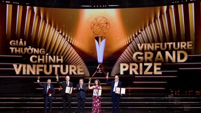 Premiile VinFuture 2026 au primit peste 1.800 de nominalizări.