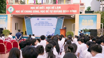Amata City Ha Long partners with investors in the recruitment of human resources.