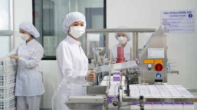 En stimulant la R&D, Imexparm espère s'implanter durablement dans la chaîne d'approvisionnement pharmaceutique mondiale.