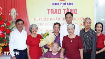Partiets centralkommittés ständiga kommitté delade ut märket för 80-årsmedlemskap i partiet till äldre partimedlemmar i Da Nang.
