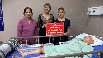 Ngời sắc hoa nhân ái