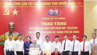 Medlemmar av partiets centralkommittés ständiga kommitté deltog i ceremonin för att dela ut märket för 80-årsjubileum i partiet i Da Nang.