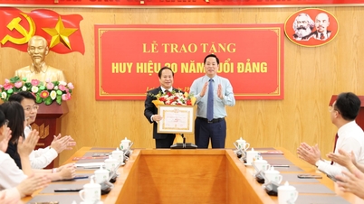 ທ່ານ ຕ່ອງແທ່ງຫາຍ ຮອງປະທານຜູ້ປະຈຳການຄະນະກຳມະການປະຊາຊົນແຂວງ ໄດ້ຮັບເຄື່ອງໝາຍສະມາຊິກພັກ 30 ປີ.