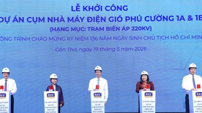 Can Tho Phu Cuong ونڈ پاور پلانٹ کلسٹر پروجیکٹ کی تعمیر شروع کر سکتا ہے۔