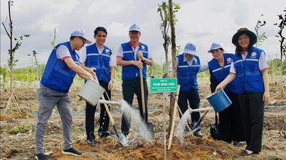 ນະຄອນໂຮ່ຈິມິນ ຕັ້ງເປົ້າໝາຍເປັນເມືອງສີຂຽວ ແລະ ເປັນເມືອງທີ່ບໍ່ມີອິນເຕີເນັດ.