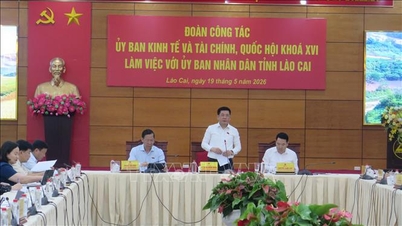 Die Arbeitsgruppe des Wirtschafts- und Finanzausschusses der Nationalversammlung besuchte Lao Cai.