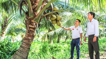 Quản lý mã số vùng trồng để giữ uy tín nông sản