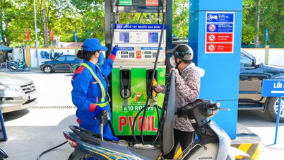 Внимательно следите за переходом на биотопливо E10.