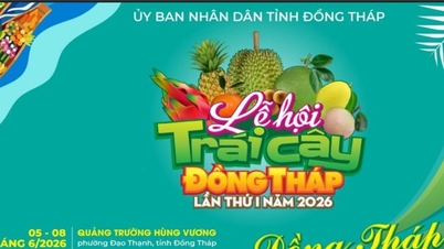 Dong Thap pořádá ovocný festival s mnoha speciálními programy.