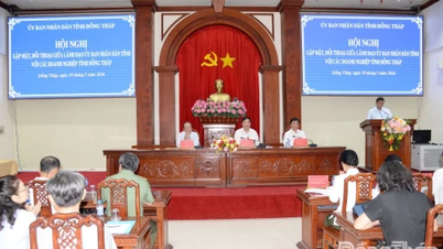 डोंग थाप व्यवसायों और निवेशकों के लिए सबसे अनुकूल परिस्थितियां बनाने और उनका समर्थन करने का काम करेगा।