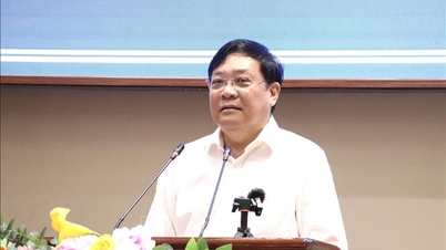 Los dirigentes del Comité Popular Provincial de Dong Thap mantienen diálogos para resolver las dificultades que afrontan las empresas.