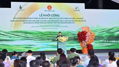 Thai Nguyen inicia a construção do Complexo de Chá de Alta Tecnologia e Campo de Golfe Quan Chu.