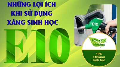 Die Vorteile der Verwendung von E10-Bioethanolkraftstoff.