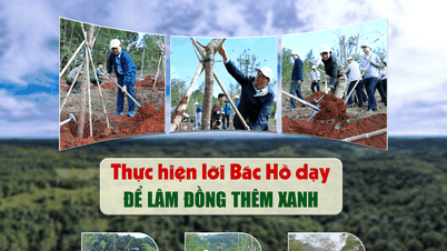 Siguiendo las enseñanzas del presidente Ho Chi Minh para hacer de Lam Dong un lugar aún más verde.