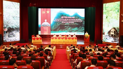 Provincial-level scientific conference: “The Eighth Conference of the Central Executive Committee of the Party, First Term (May 1941): The Party's Strategic Vision in the Cause of National Liberation, National Construction and Development”