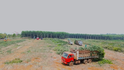 Byggingen akselererer på fire bosettingsområder for motorveien Quy Nhon - Pleiku.