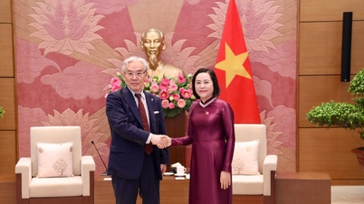 A vice-presidente da Assembleia Nacional, Nguyen Thi Thanh, recebe o presidente do Grupo Tokushukai do Japão.