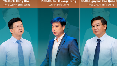 Profiler av de tre nyutnämnda ledarna för Ho Chi Minh City University of Economics.