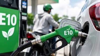 ¿Cambiar a gasolina E10 afectará al motor del coche?