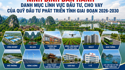 Prowincja Ninh Binh publikuje listę obszarów inwestycji i pożyczek Funduszu Inwestycji Rozwojowych na lata 2026–2030.