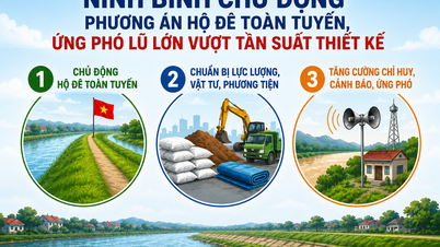 Ninh Binh proaktywnie wdraża plany mające na celu ochronę całego systemu wałów i reagowanie na duże powodzie przekraczające częstotliwość projektową.