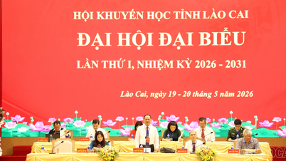 Pierwsza sesja Pierwszego Kongresu Stowarzyszenia Prowincjonalnego Lao Cai na rzecz Promocji Nauki, kadencja 2026-2031