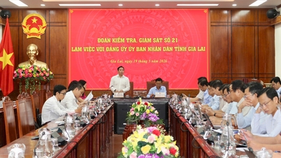 Inspection and supervision team No. 21 works with the Party Committee and People's Committee of Gia Lai province.