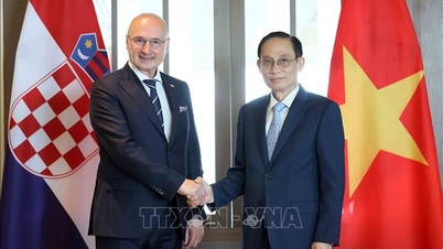 Außenminister Le Hoai Trung führte Gespräche mit dem kroatischen Minister für auswärtige Angelegenheiten und europäische Angelegenheiten.