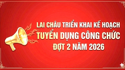 Lai Chau voert in 2026 het tweede wervingsplan voor ambtenaren uit.