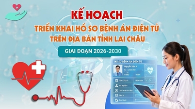 Plan för implementering av elektroniska patientjournaler i Lai Chau-provinsen, 2026-2030.