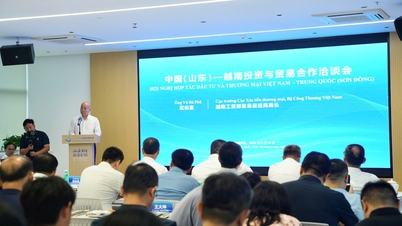 Vietnam - Shandong : Promouvoir la coopération en matière d'investissement et de commerce, développer les liens entre les chaînes d'approvisionnement régionales.