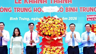 Ho Chi Minh şehrinde bulunan bir diğer gelişmiş, entegre ortaokul.
