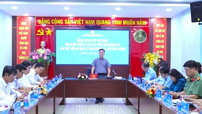 Voorzitter Nguyen Viet Hung van het Provinciaal Volkscomité werkt samen met het Provinciaal Bestuur voor Economische Zones en Industrieparken.