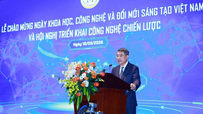Numeroase activități semnificative au fost organizate pentru a sărbători Ziua Științei, Tehnologiei și Inovației din Vietnam, pe 18 mai.