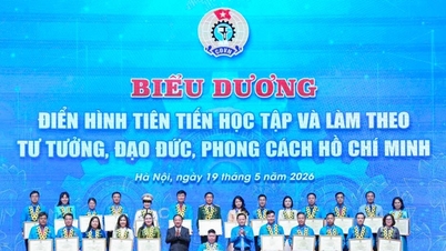 Honoring outstanding collectives and individuals in the "Studying and following the ideology, ethics, and style of Ho Chi Minh" campaign.