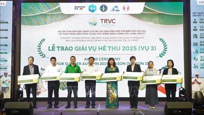 สิบธุรกิจดีเด่นได้รับการยกย่องสำหรับความเชื่อมโยงในการผลิตข้าวที่มุ่งลดการปล่อยก๊าซเรือนกระจก