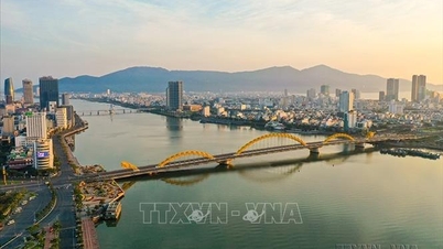 다낭이 글로벌 스타트업 생태계 지수 순위에서 212계단 상승했습니다.