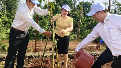 Ea Ktur beldesi, "Başkan Ho Chi Minh'i sonsuza dek anmak için Ağaç Dikme Festivali" başlattı.