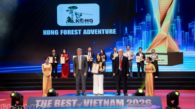 Kong Forest Adventure - Top 10 khu du lịch được yêu thích nhất tại lễ trao giải The Best of Vietnam 2026