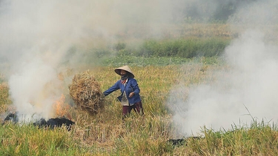 La province de Ninh Binh intensifie ses efforts pour lutter contre le brûlage illégal de la paille et le séchage illégal du riz.