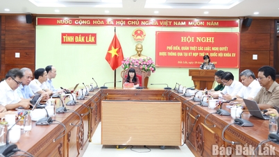 제15대 국회 제10차 회기에서 통과된 주요 법률들을 널리 알리고 자세히 설명하십시오.