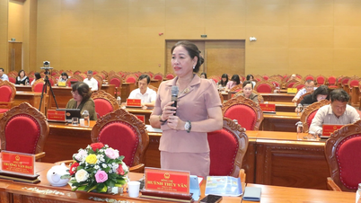 Formation aux compétences opérationnelles pour les représentants des conseils populaires à tous les niveaux dans la province de Gia Lai.