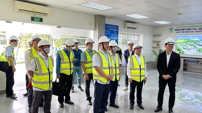 El vicepresidente del Comité Popular Provincial, Duong Mah Tiep, inspecciona una planta de producción de piensos para ganado y un matadero centralizado.