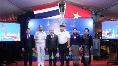 Zahlreiche Aktivitäten zur Förderung der Freundschaft und des Austauschs zwischen Vietnam und Thailand.