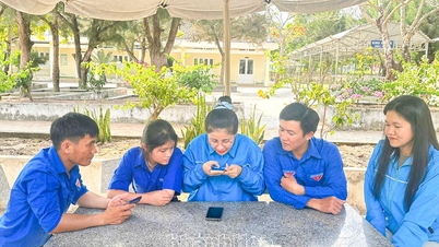 Tuổi trẻ Vạn Hưng xung kích trên mặt trận số