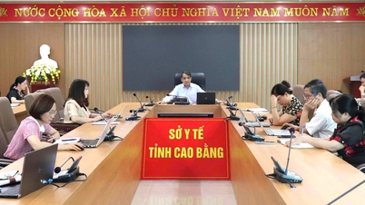 Đẩy nhanh tiến độ khám sàng lọc và phẫu thuật đục thủy tinh thể cho người dân