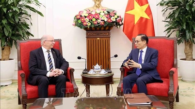 Thúc đẩy quan hệ Việt Nam - Thụy Điển phát triển sâu rộng, hiệu quả hơn