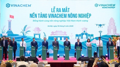 ກະສິກຳ Vinachem – ລະບົບນິເວດເຄມີທີ່ສະໜັບສະໜູນຊາວກະສິກອນດ້ວຍຄວາມຮູ້.