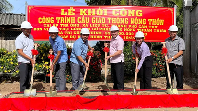 Nông dân Liêu Tú cùng doanh nghiệp liên kết sản xuất, tiêu thụ lúa ST25 theo hướng hữu cơ